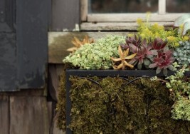 Brightening Your Exterior Home with Summer Window Boxes