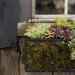 Brightening Your Exterior Home with Summer Window Boxes