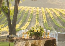 Travel: Tips for Attending an Inspiring Wine Tasting Tour