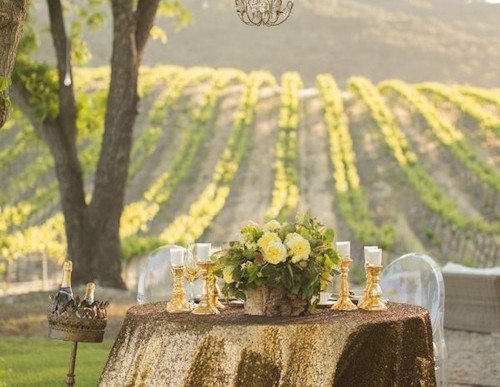 Travel: Tips for Attending an Inspiring Wine Tasting Tour