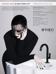 Brizo event