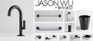 jasonwu brizo_access