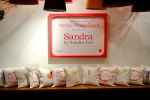 Welcome_Startini pillow