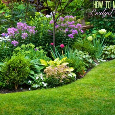 How to Maintain your Budget Garden this Season