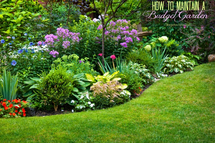 How to Maintain your Budget Garden this Season