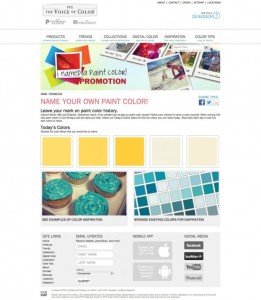 PPG PITTSBURGH PAINTS VOICE OF COLOR