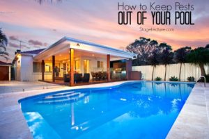 keep pests out swimming pool