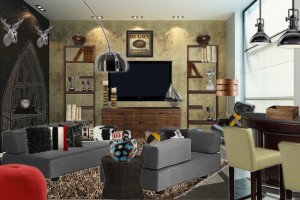 Mancave After_Oliohop Stagetecture 1.21.13_smaller
