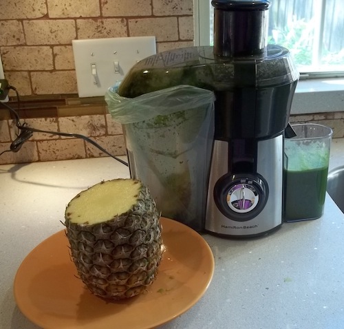 hamilton beach juicer green juice pineapple