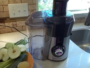 hamilton beach juicer ingredients3