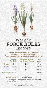 forcing bulbs calendar