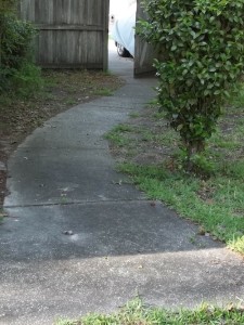 backyard walkway_stagetecture_homeadvisor