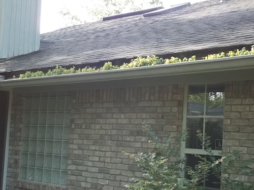 gutters_back house_stagetecture_homeadvisor