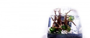 EcoQube Kickstarter