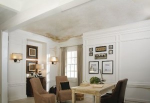 Armstrong Ceiling_Woodhaven_Den_before