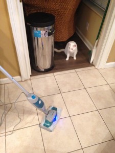 Stagetecture_Swiffer_SteamBoost5