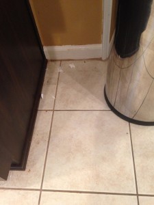 Stagetecture_Swiffer_SteamBoost8
