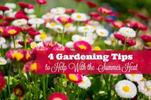 summer heat flowers tips