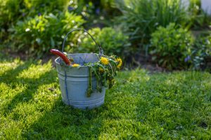 Uses for gavenized buckets.