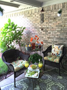 Pier 1 Imports_Garden Party_Chairs