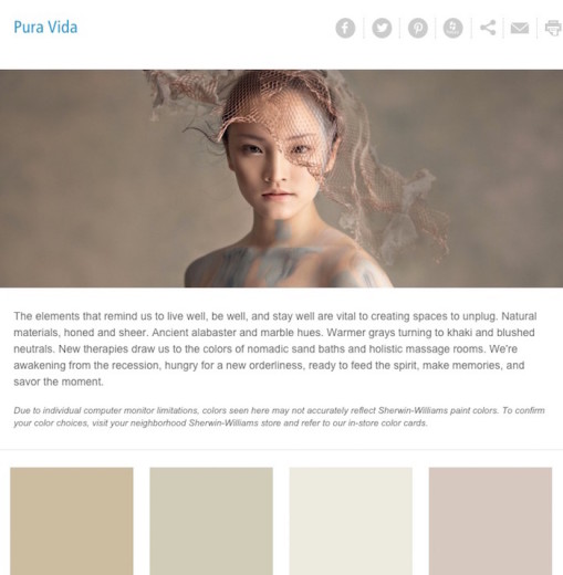 How to Use Pale Trending Colors of the Year in your Home