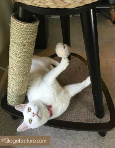 Cat Condo Cat Furniture final