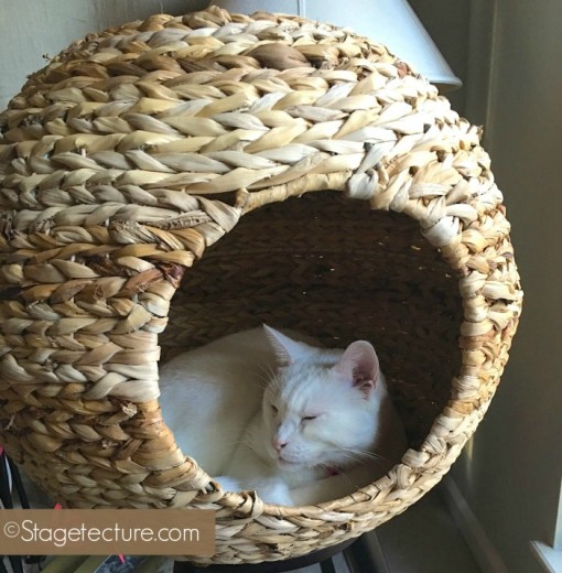Finally Cat Furniture My Cat Loves by Sauder Pet Home