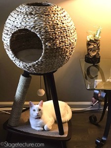 Cat Scratching Post Stagetecture final