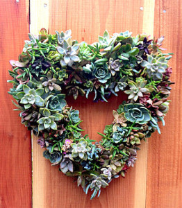 Succulents-Wreath-Kit