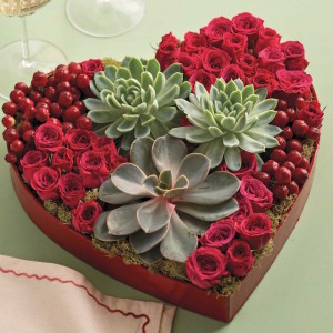 Valentines succulents roses arrangement