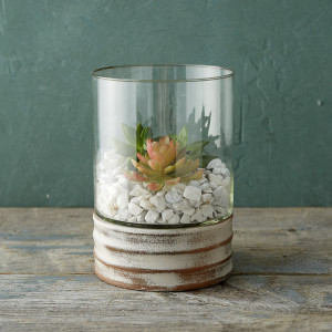 terrarium ideas