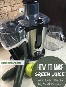 Hamilton Beach Stagetecture Green Juice bag