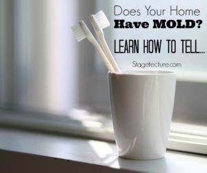 Mold remediation tips