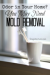 mold removal in home