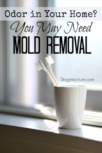 mold removal in home