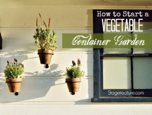 container garden vegetables