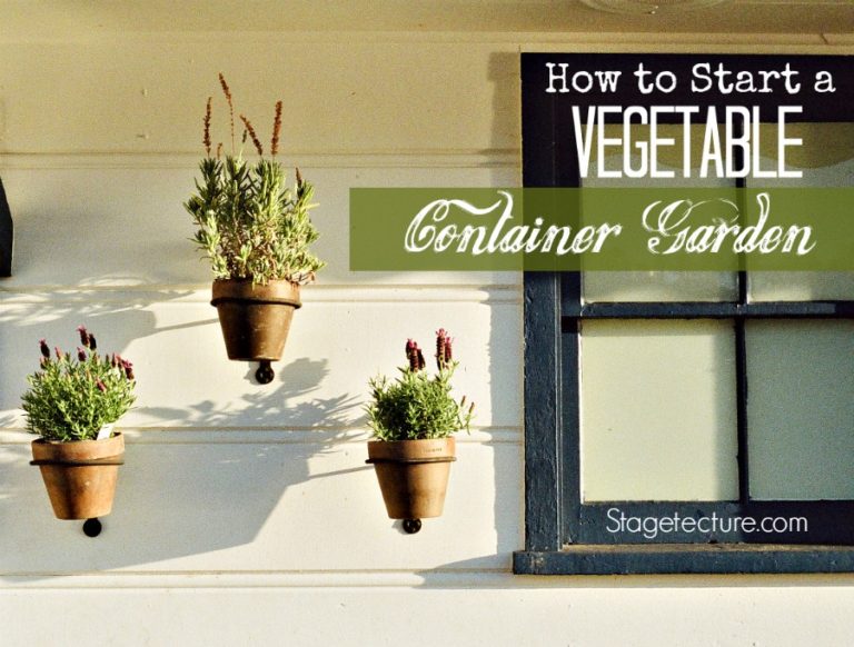 container garden vegetables