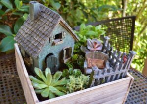 fairy gardens box