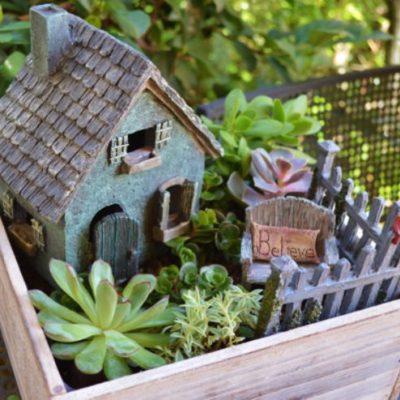 DIY Fairy Gardens: How to Find the Perfect Plants
