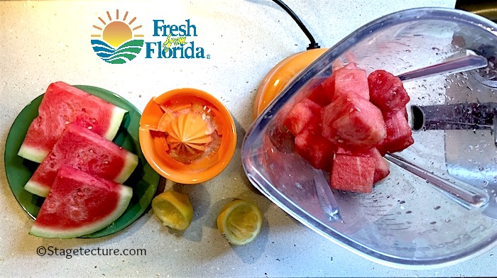 Fresh From Florida_Watermelon Blender