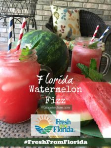 Fresh From Florida_Watermelon Fizz Recipe Patio Idea
