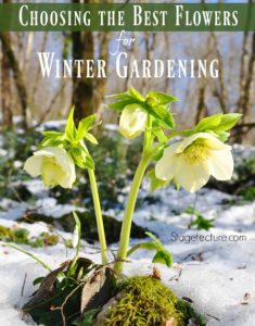 winter gardening tips