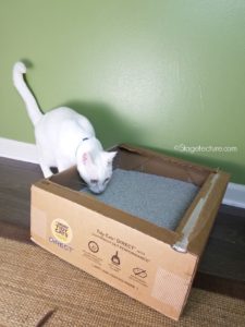 Snow Cat litter box Tidy Cats Direct Amazon