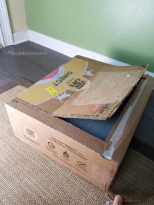 Tidy Cat Litter Direct litter box