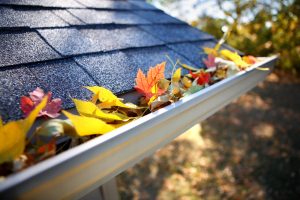 How to Prevent Gutter Clogging
